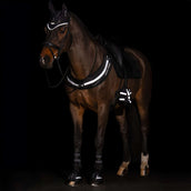 Imperial Riding Fliegenhaube IRHLuminous Schwarz