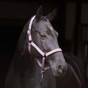 Imperial Riding Halfter IRHRebel Ballerina