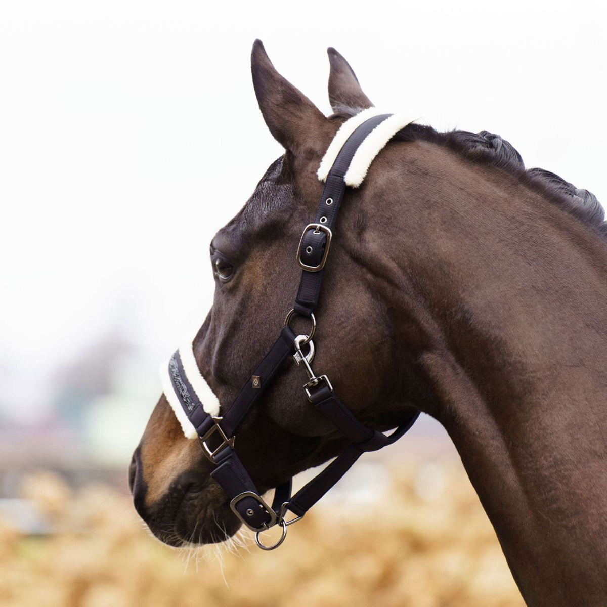 Imperial Riding Halfter IRHJewel Schwarz