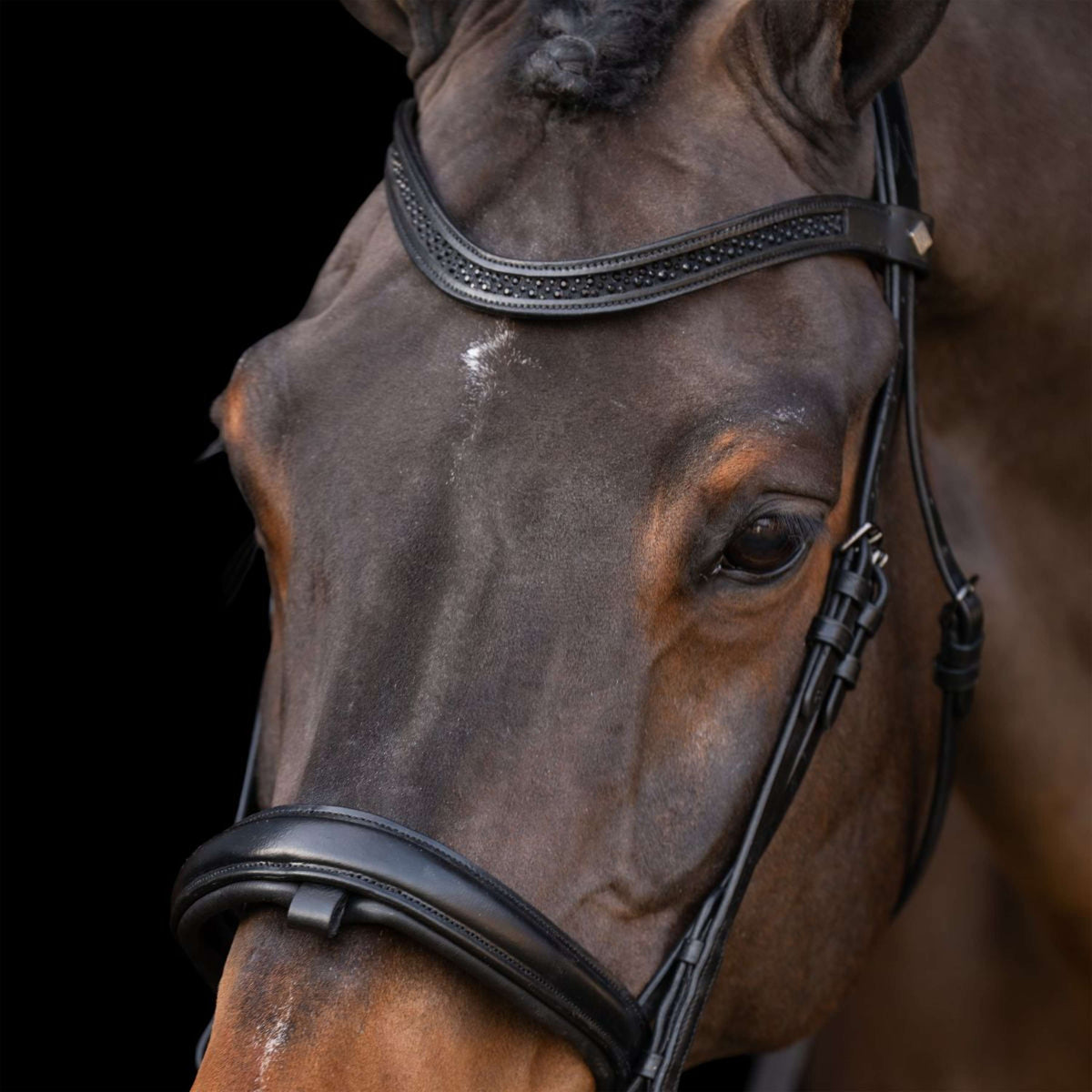 Imperial Riding Zaum IRH Schwarz/Schwarz