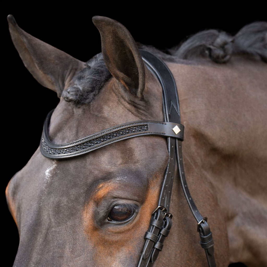 Imperial Riding Zaum IRH Schwarz/Schwarz
