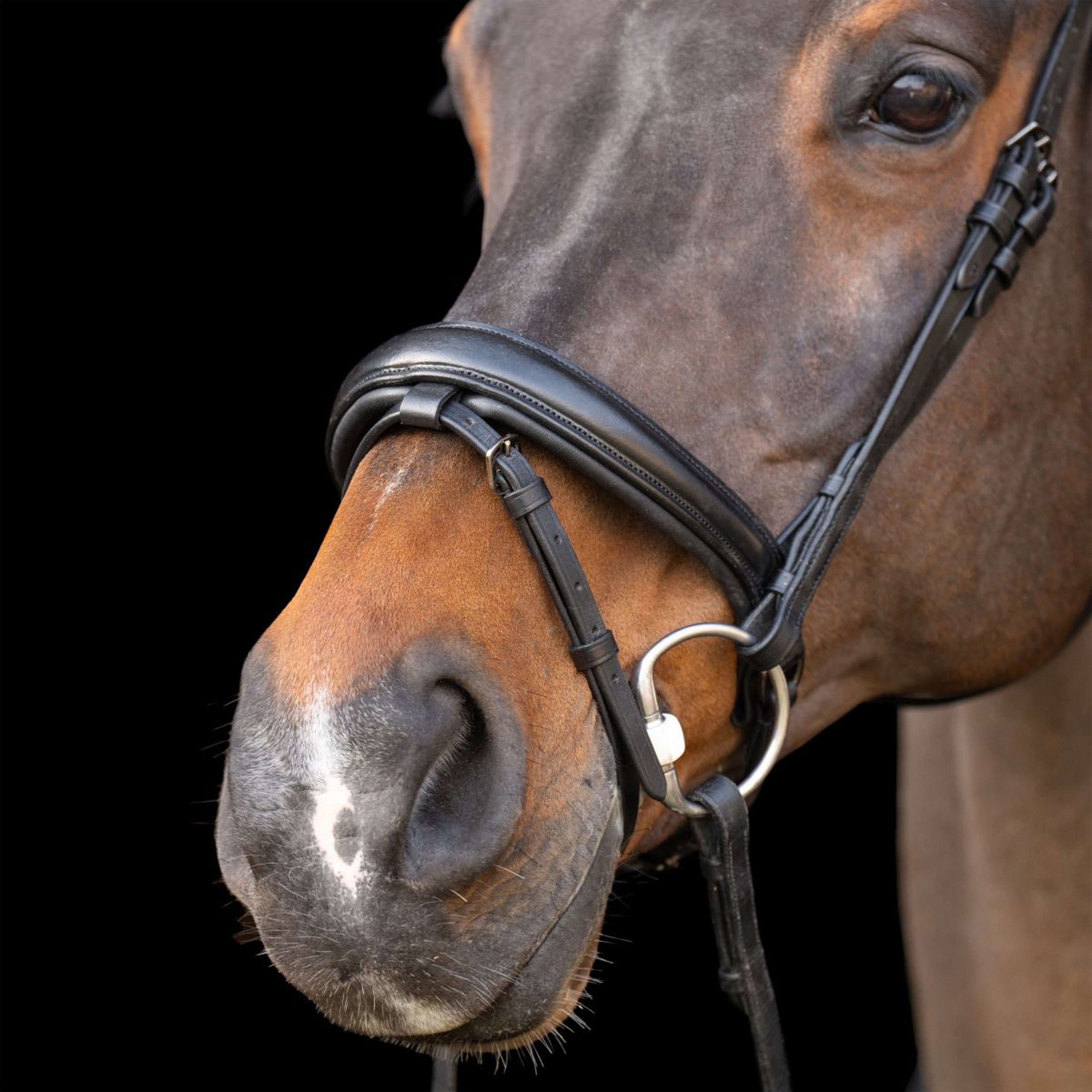 Imperial Riding Zaum IRH Schwarz/Schwarz Imperial Riding Zaum IRH Schwarz/Schwarz