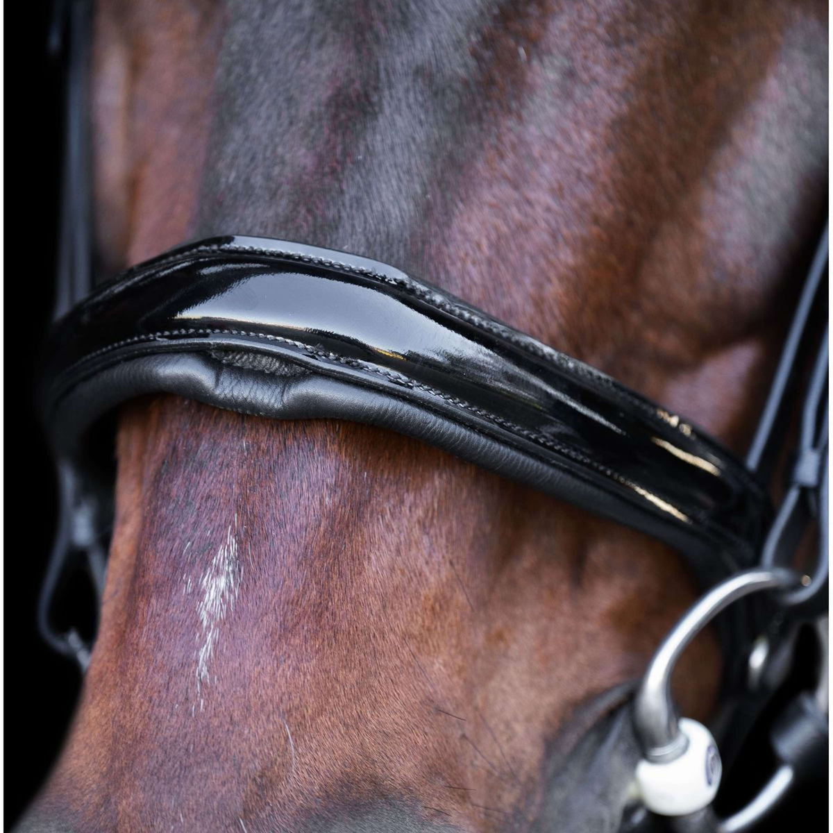 Imperial Riding Zaum IRH Schwarz/Crystal