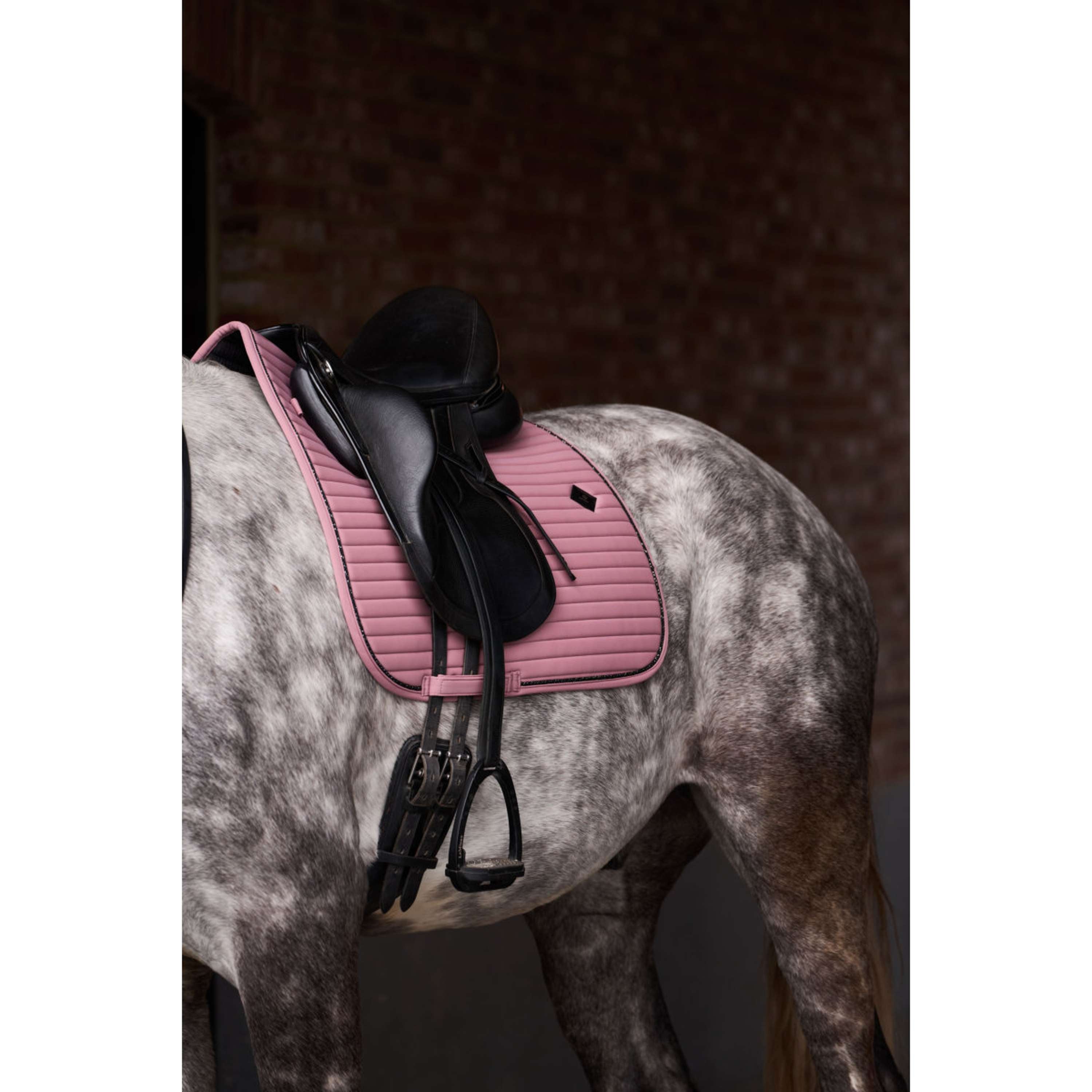 Imperial Riding Schabracke IRHJosie Dressur Mauve