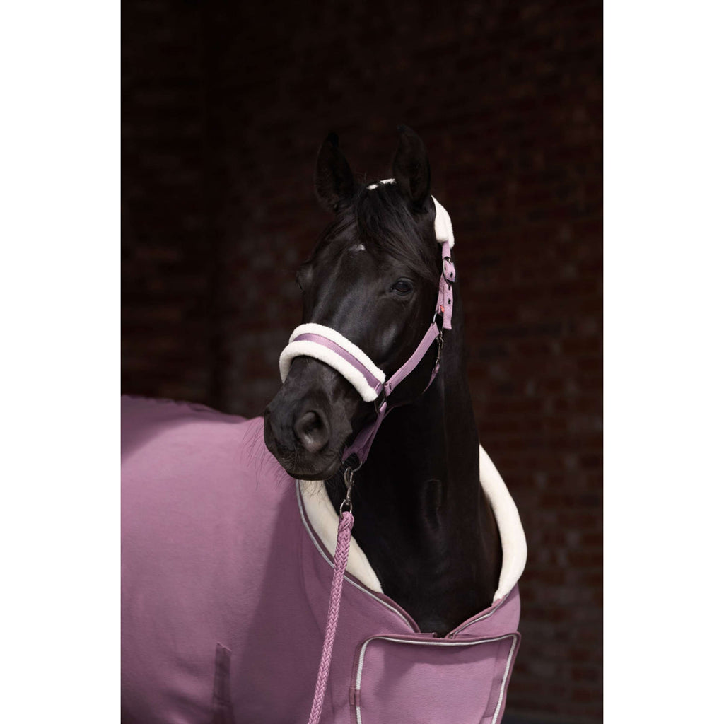 Imperial Riding Halfter IRHJewel Mauve
