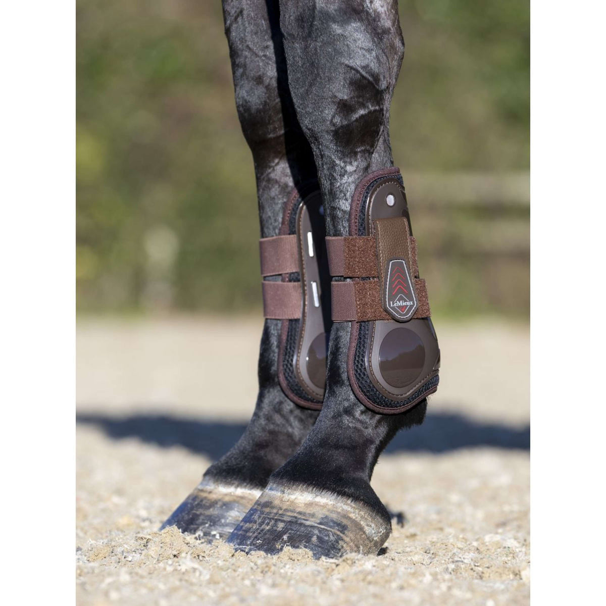 LeMieux Sehnenschutz Derby ProJump Braun
