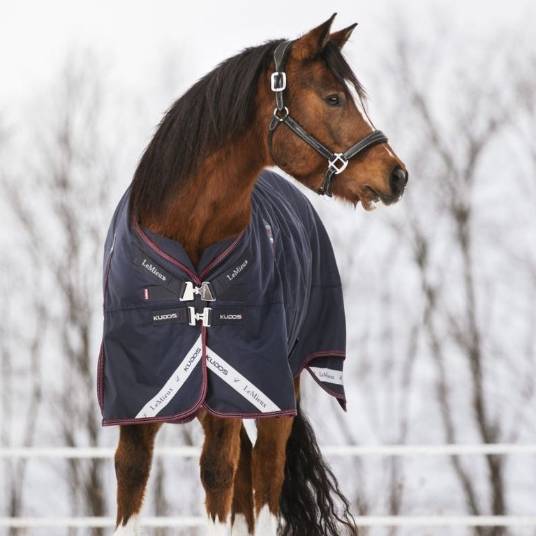 LeMieux Decke Kudos Turnout 50g Navy