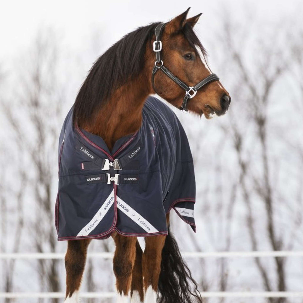LeMieux Decke Kudos Turnout 50g Navy