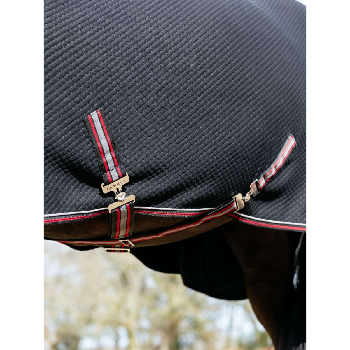 LeMieux Cooler Kudos Bamboo Schwarz