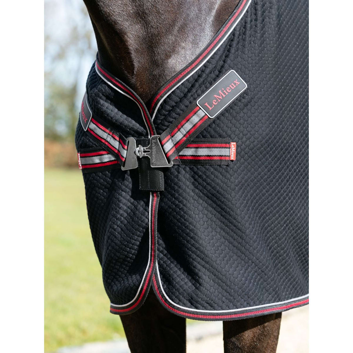 LeMieux Cooler Kudos Bamboo Schwarz