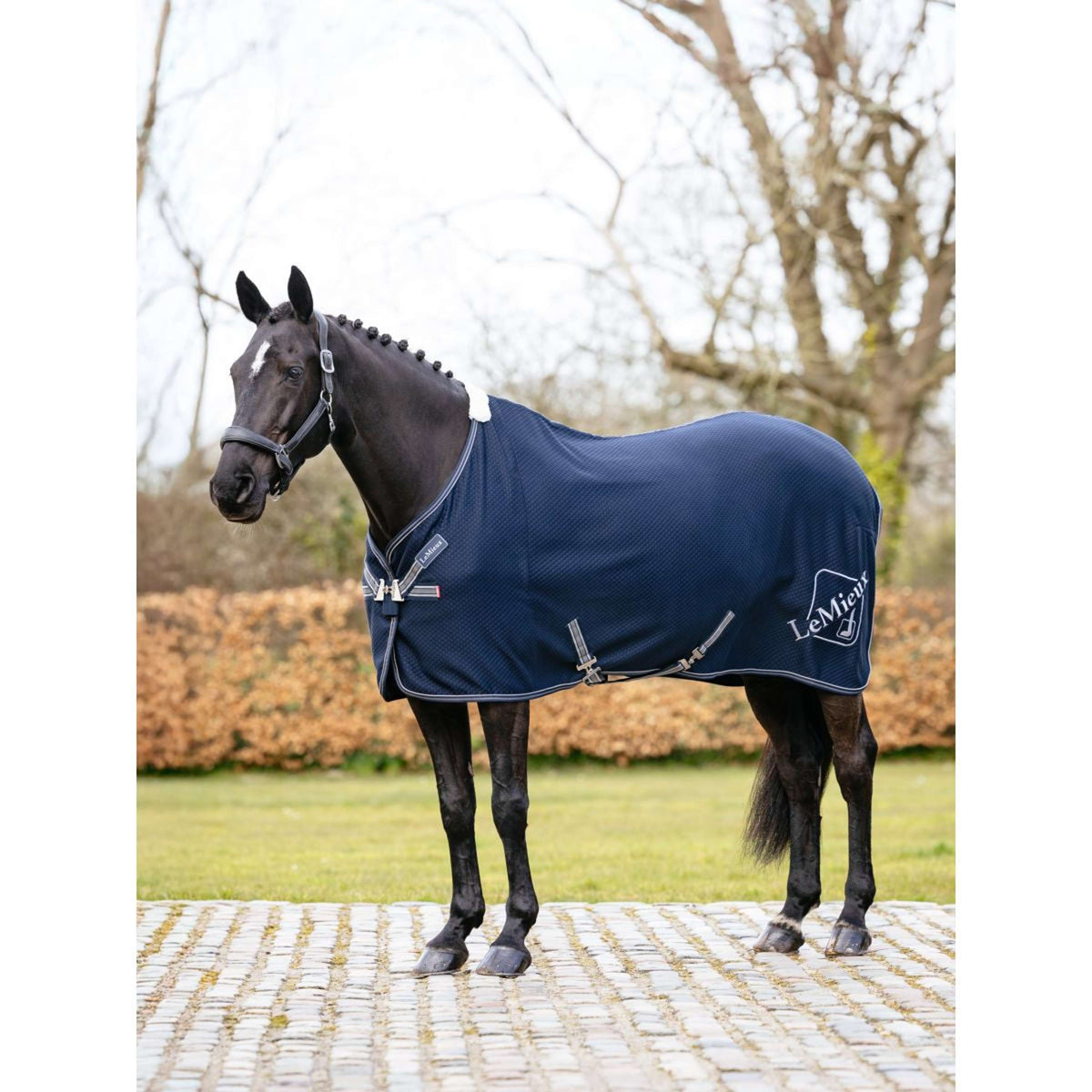 LeMieux Cooler Kudos Bamboo Navy