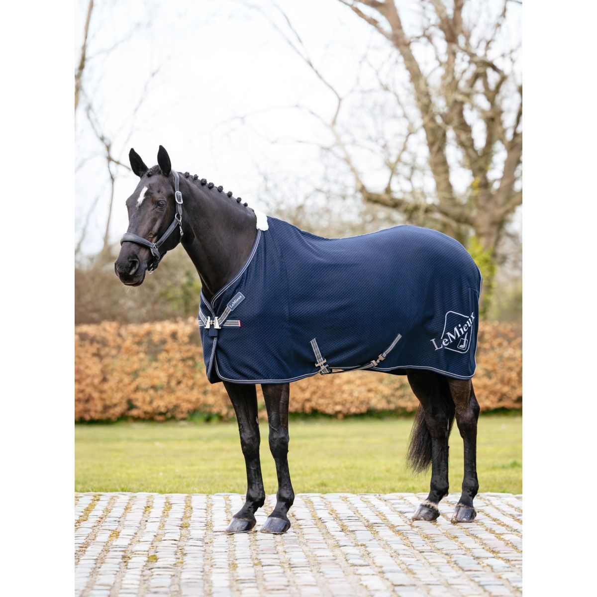 LeMieux Cooler Kudos Bamboo Navy