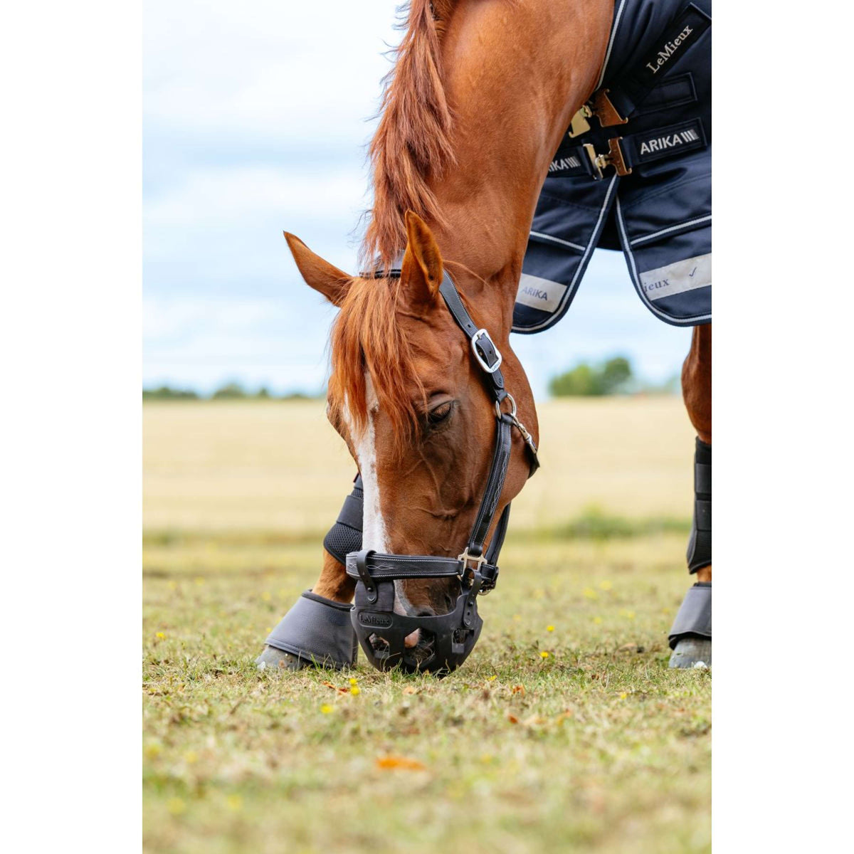 LeMieux Grasmaske Noma Schwarz