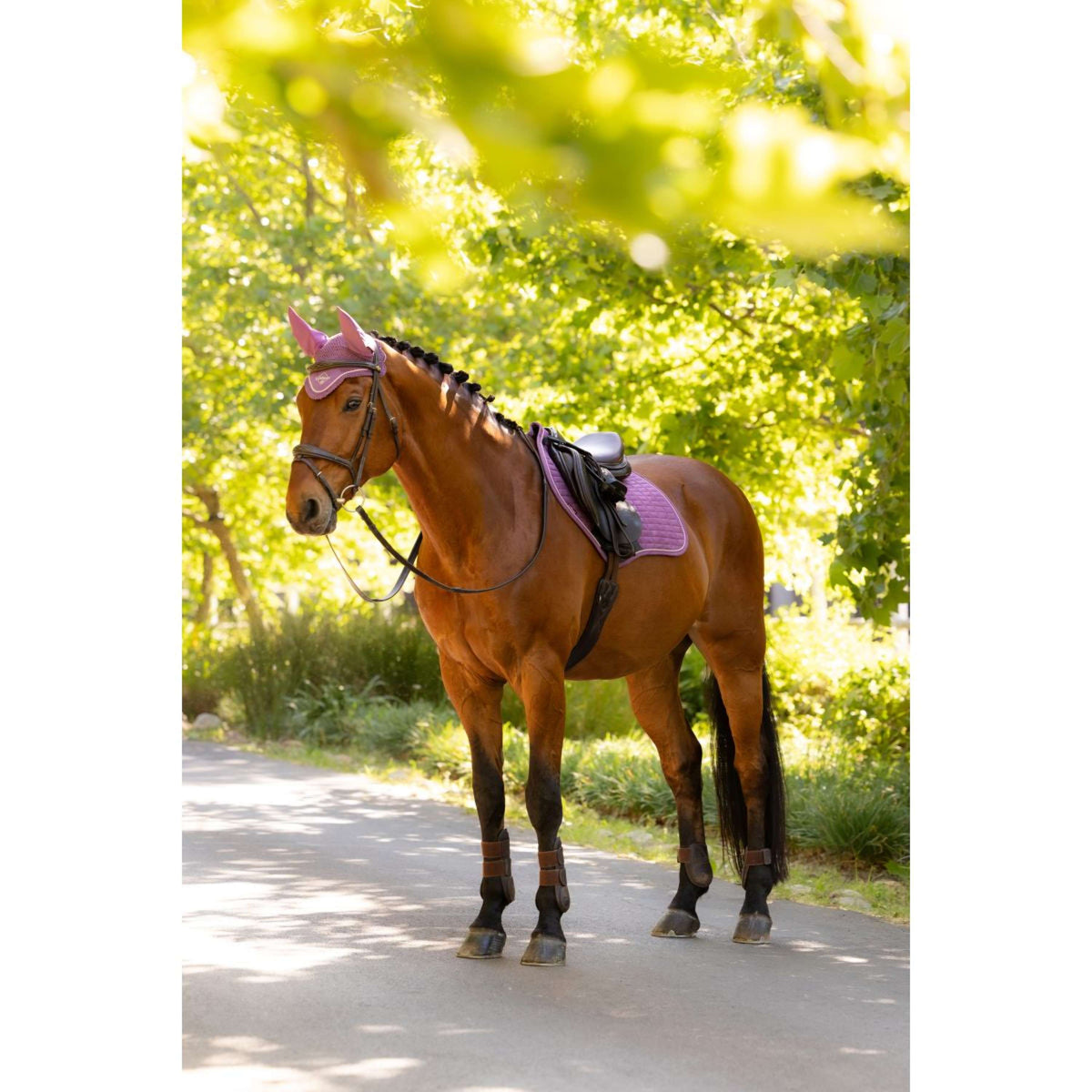 LeMieux Schabracke Suede Close Contact Square Springen Mallow