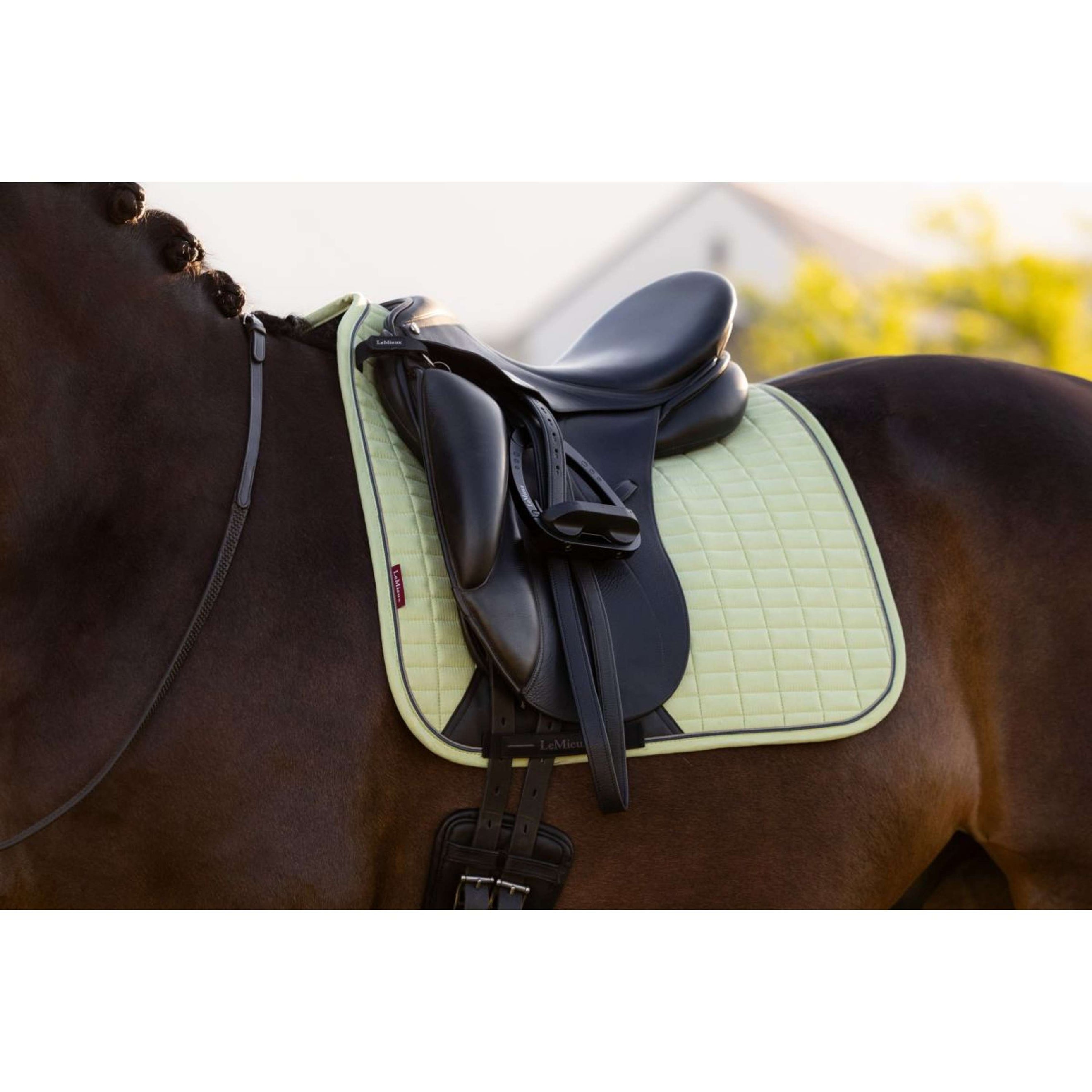 LeMieux Schabracke Suede Square Dressur Macaron