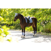 LeMieux Schabracke Suede Square Dressur Powder Blue