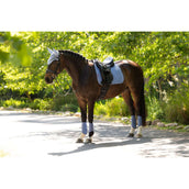 LeMieux Schabracke Suede Square Dressur Powder Blue