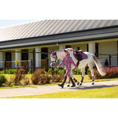 LeMieux Schabracke Mini Suede Close Contact Square Springen Mallow