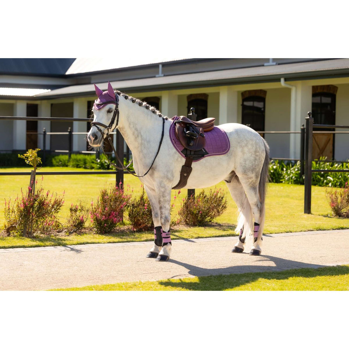 LeMieux Schabracke Mini Suede Close Contact Square Springen Mallow