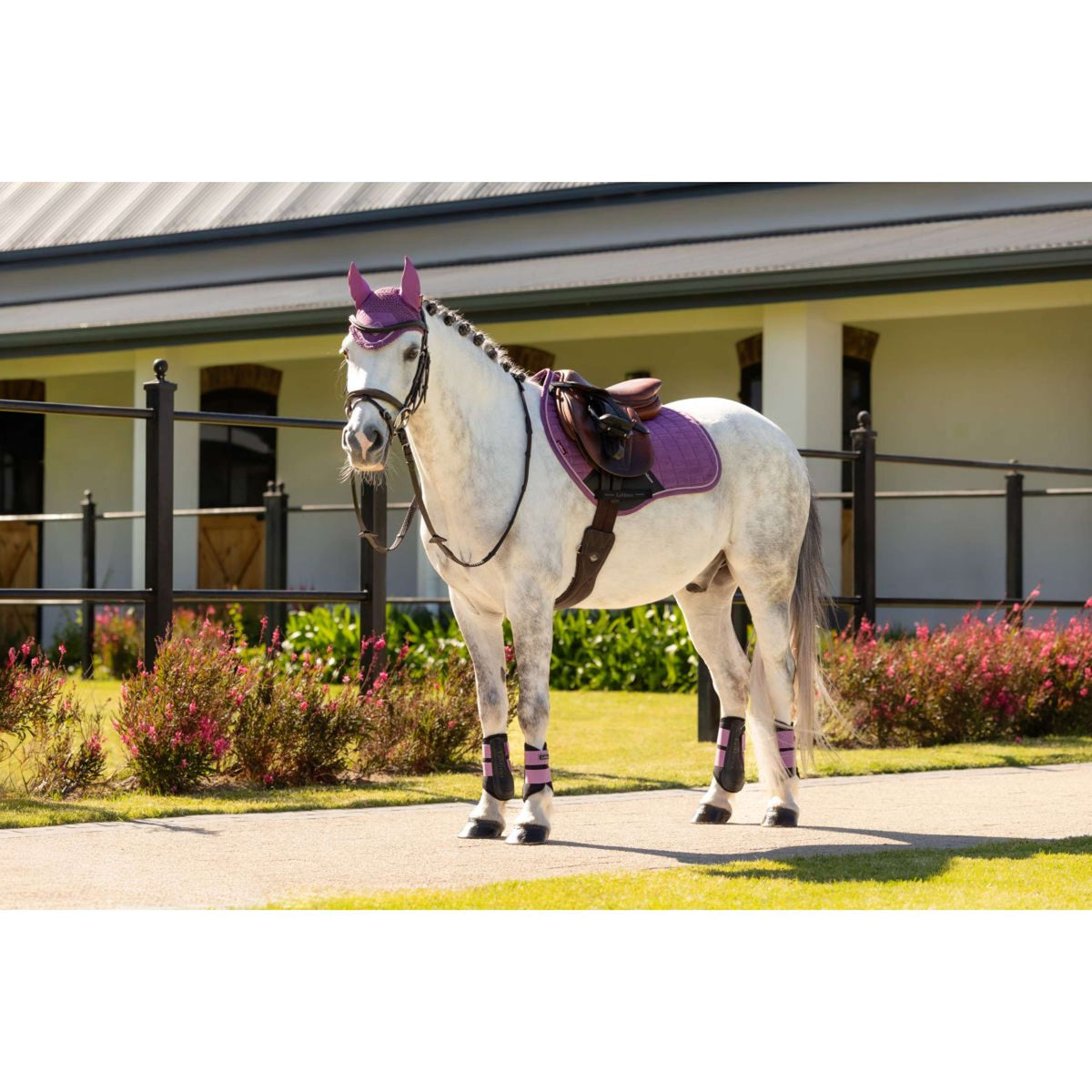 LeMieux Schabracke Mini Suede Close Contact Square Springen Mallow