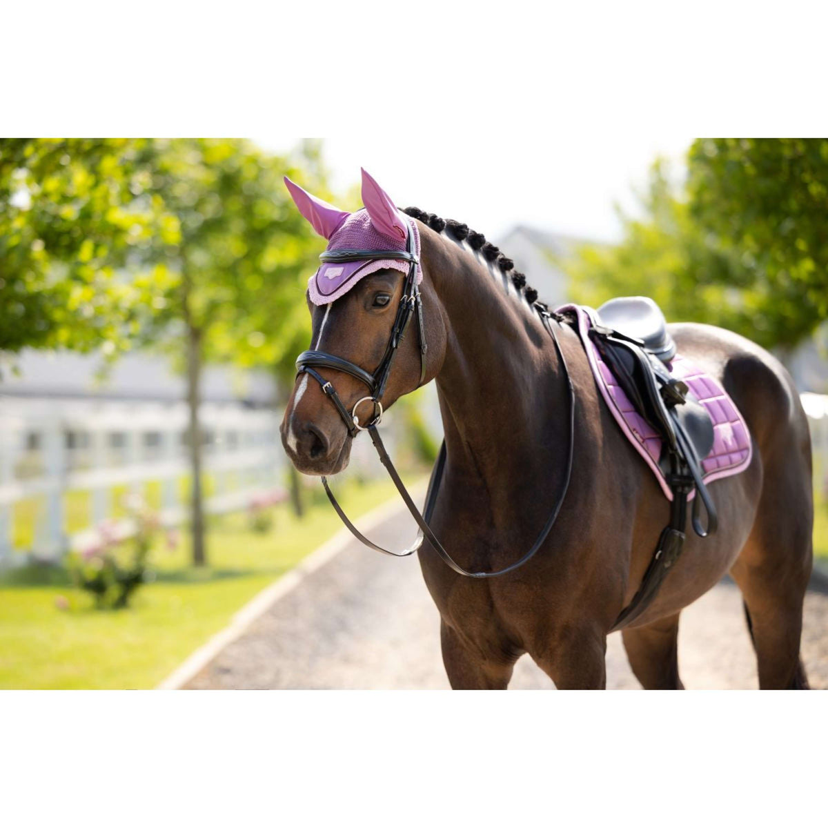 LeMieux Fliegenhaube Loire Mallow