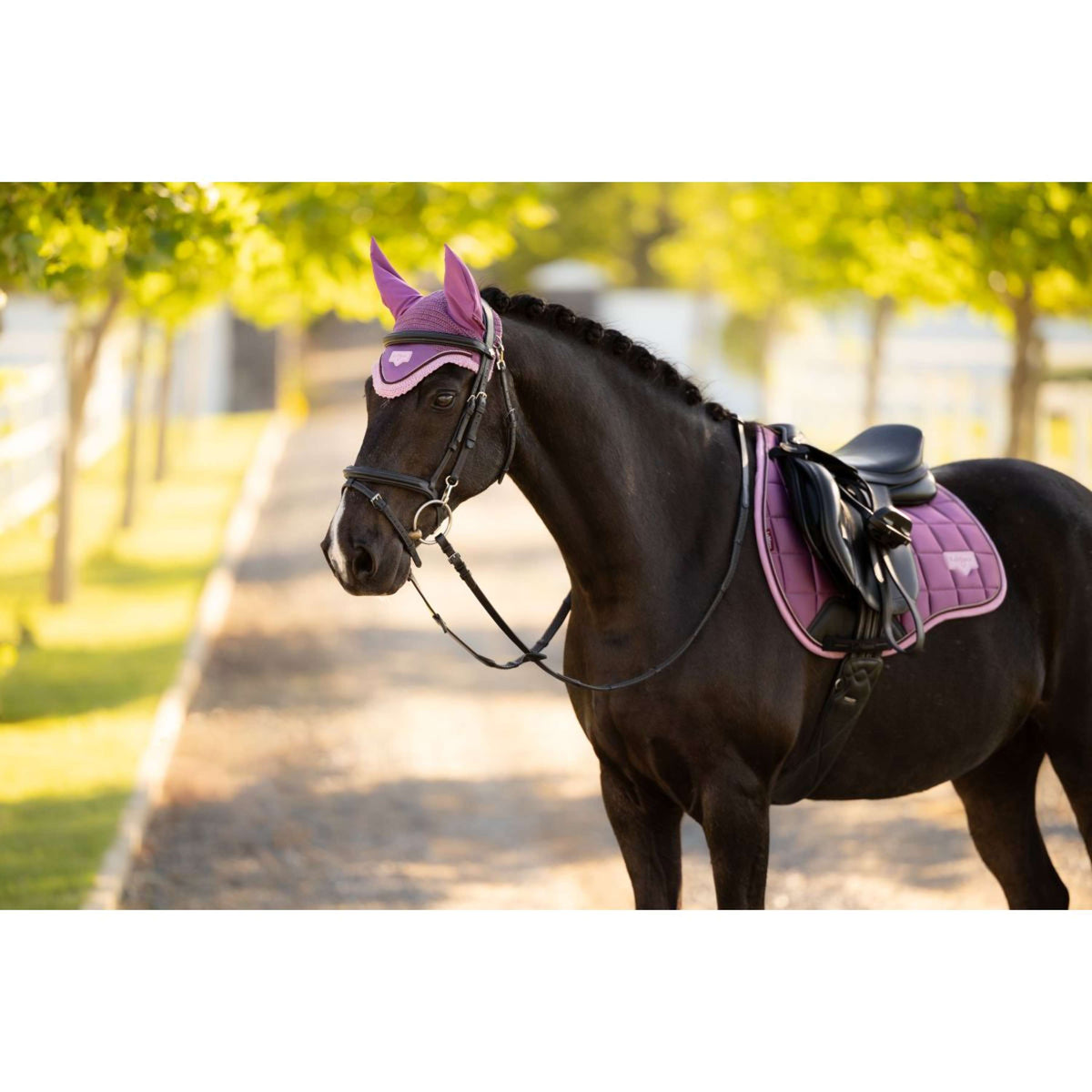 LeMieux Fliegenhaube Loire Mallow