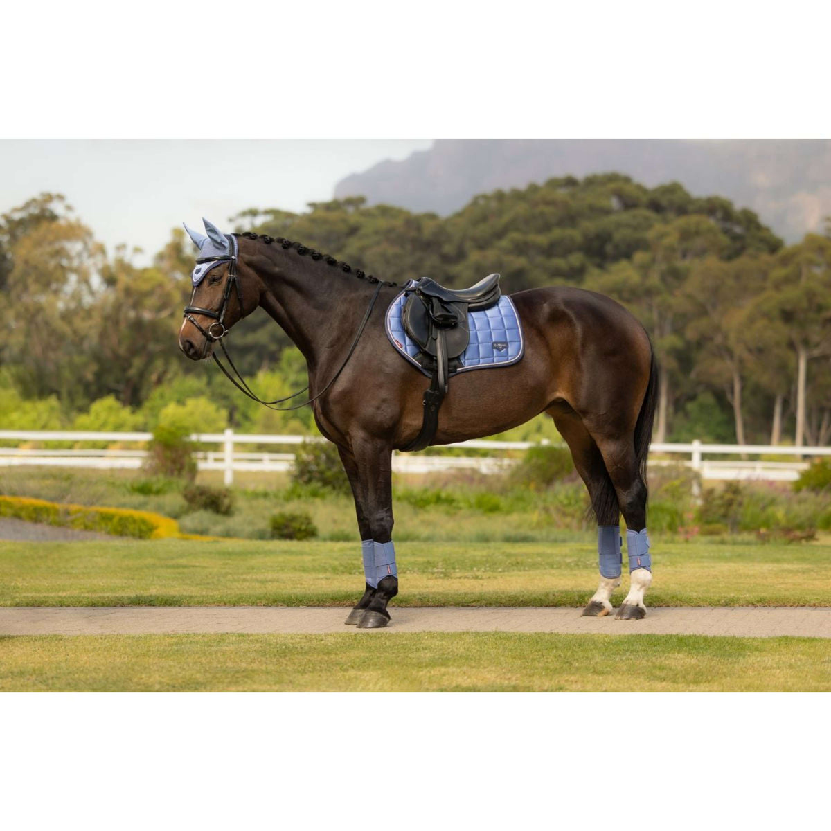 LeMieux Schabracke Loire Classic Close Contact Square Springen Powder Blue