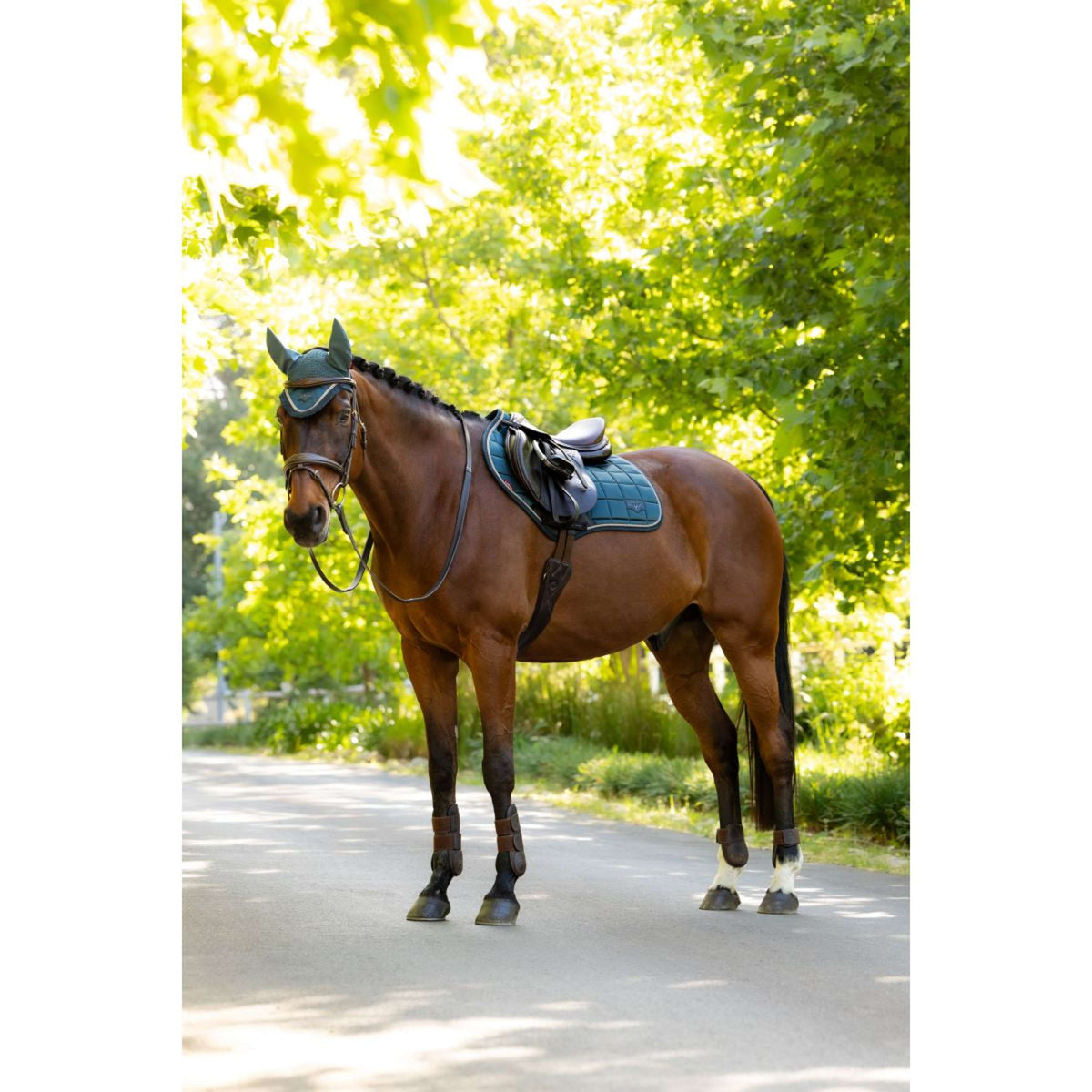 LeMieux Schabracke Loire Classic Close Contact Square Springen Jungle