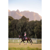 LeMieux Schabracke Loire Classic Square Dressur Mallow