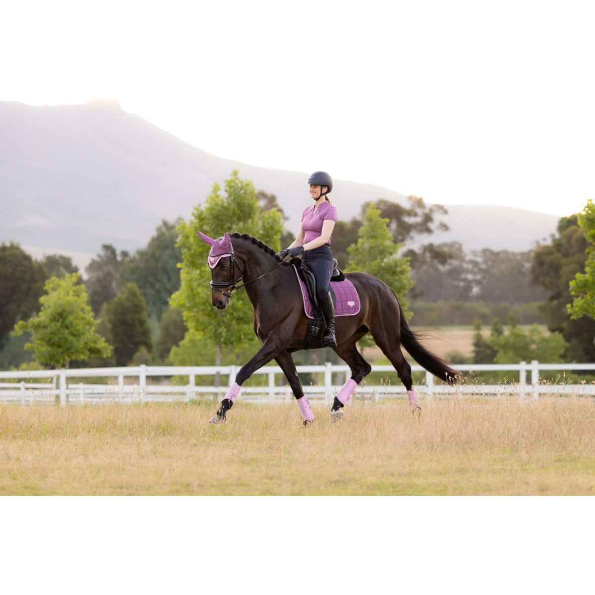 LeMieux Schabracke Loire Classic Square Dressur Mallow