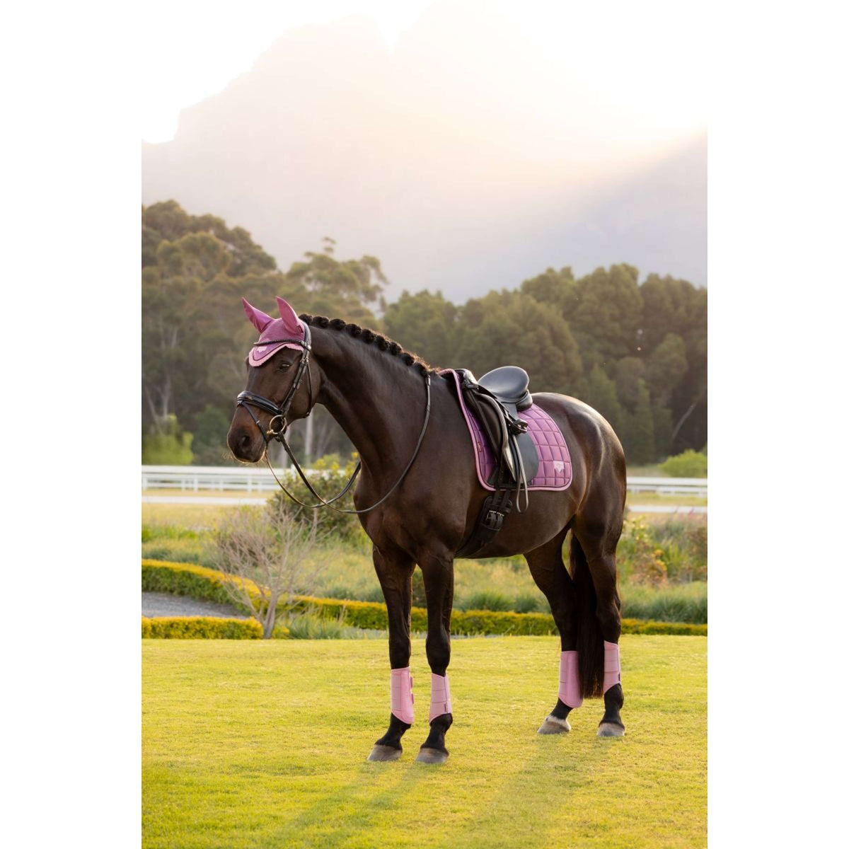 LeMieux Schabracke Loire Classic Square Dressur Mallow