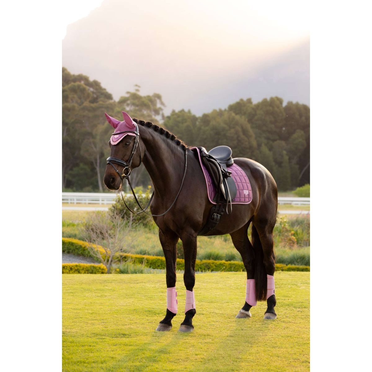 LeMieux Schabracke Loire Classic Square Dressur Mallow