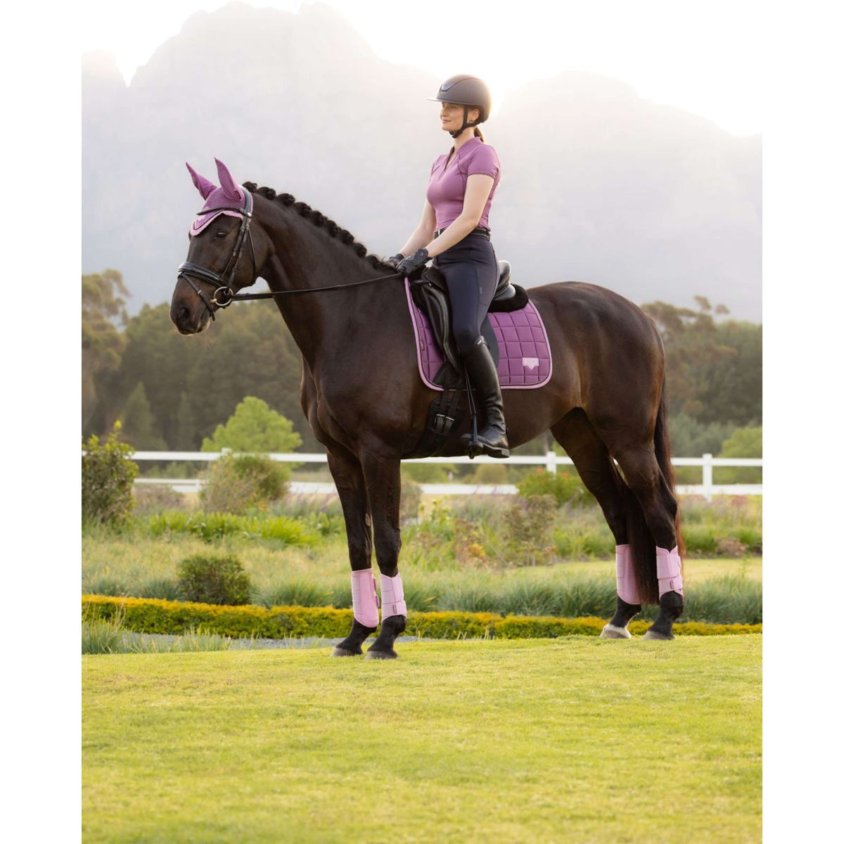 LeMieux Schabracke Loire Classic Square Dressur Mallow