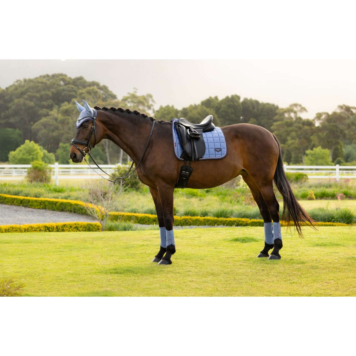 LeMieux Schabracke Loire Classic Square Dressur Powder Blue