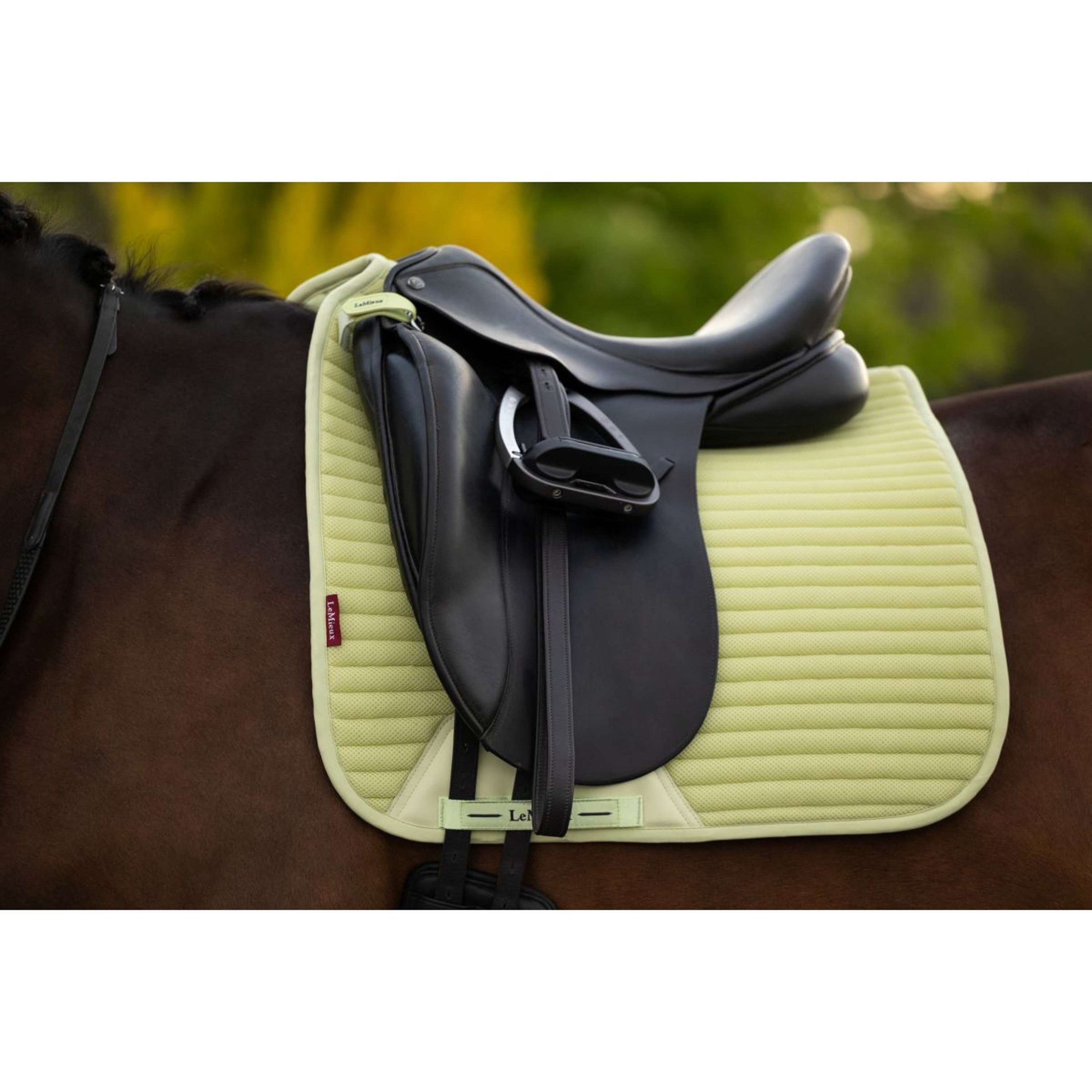 LeMieux Schabracke Air-Tek Mesh Square Dressur Macaron LeMieux Schabracke Air-Tek Mesh Square Dressur Macaron