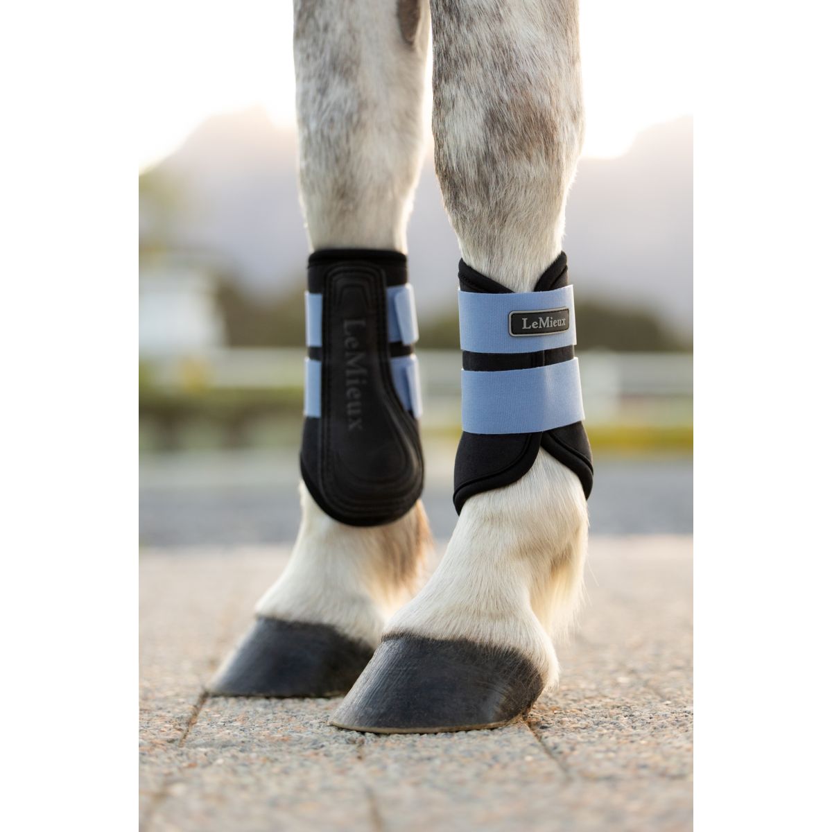 LeMieux Gamaschen Mini Air-Tek Powder Blue