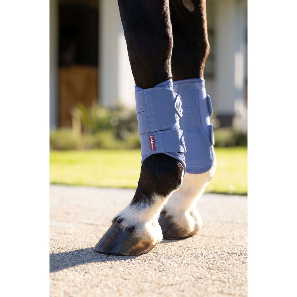 LeMieux Gamaschen Arika Mesh Powder Blue