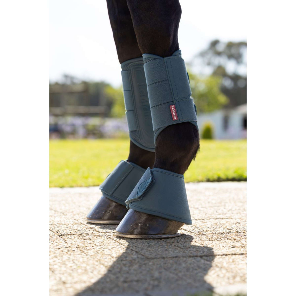 LeMieux Hufglocken Arika Jungle