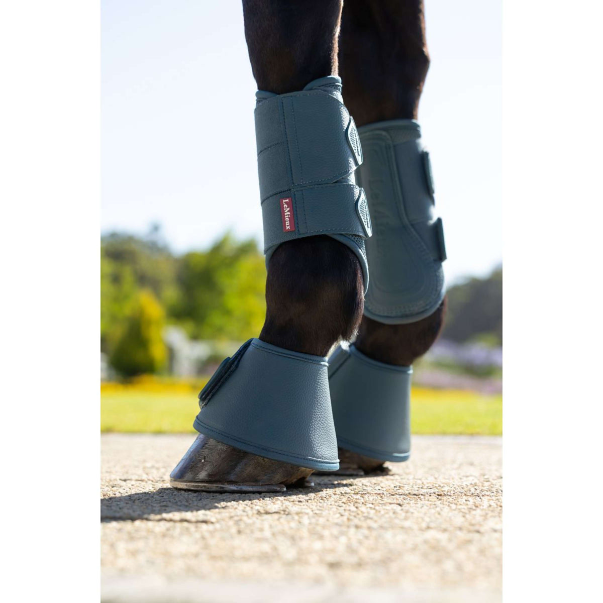 LeMieux Hufglocken Arika Jungle