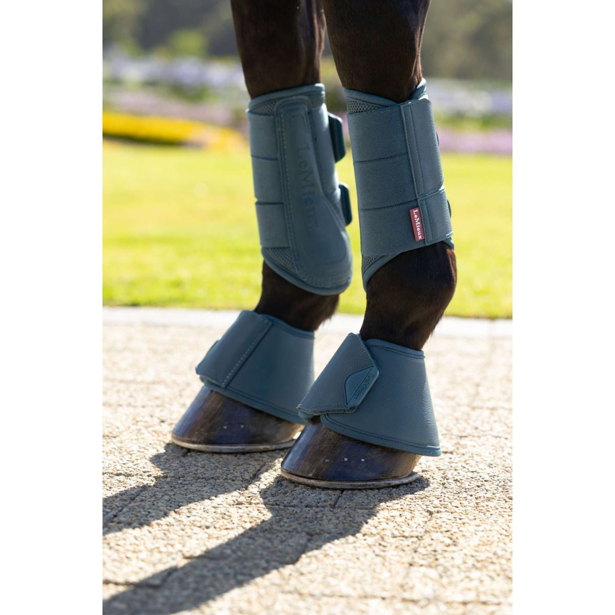 LeMieux Hufglocken Arika Jungle