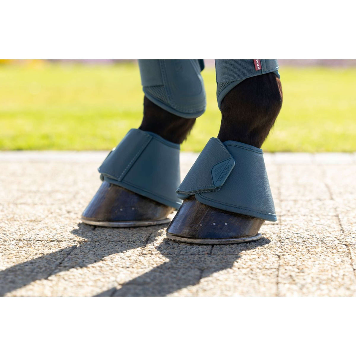 LeMieux Hufglocken Arika Jungle