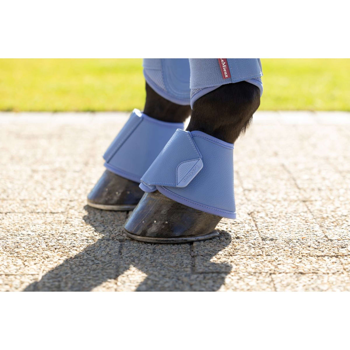 LeMieux Hufglocken Arika Powder Blue