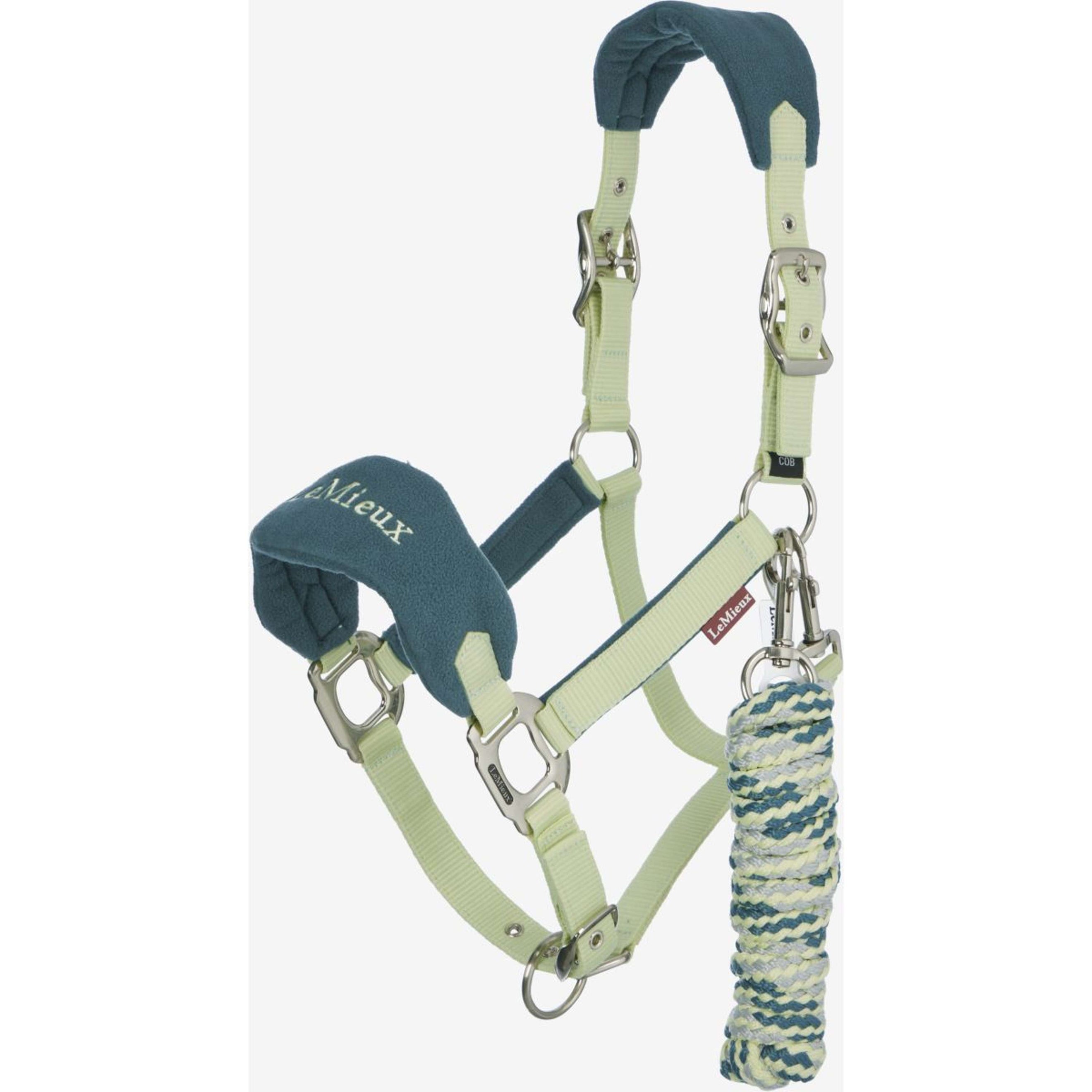 LeMieux Halfterset Vogue Macaron