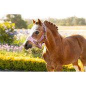 LeMieux Halfterset Mini Vogue Mallow