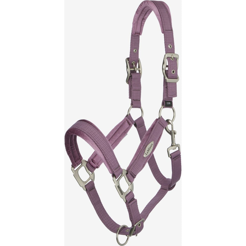 LeMieux Halfter Versailles Mallow