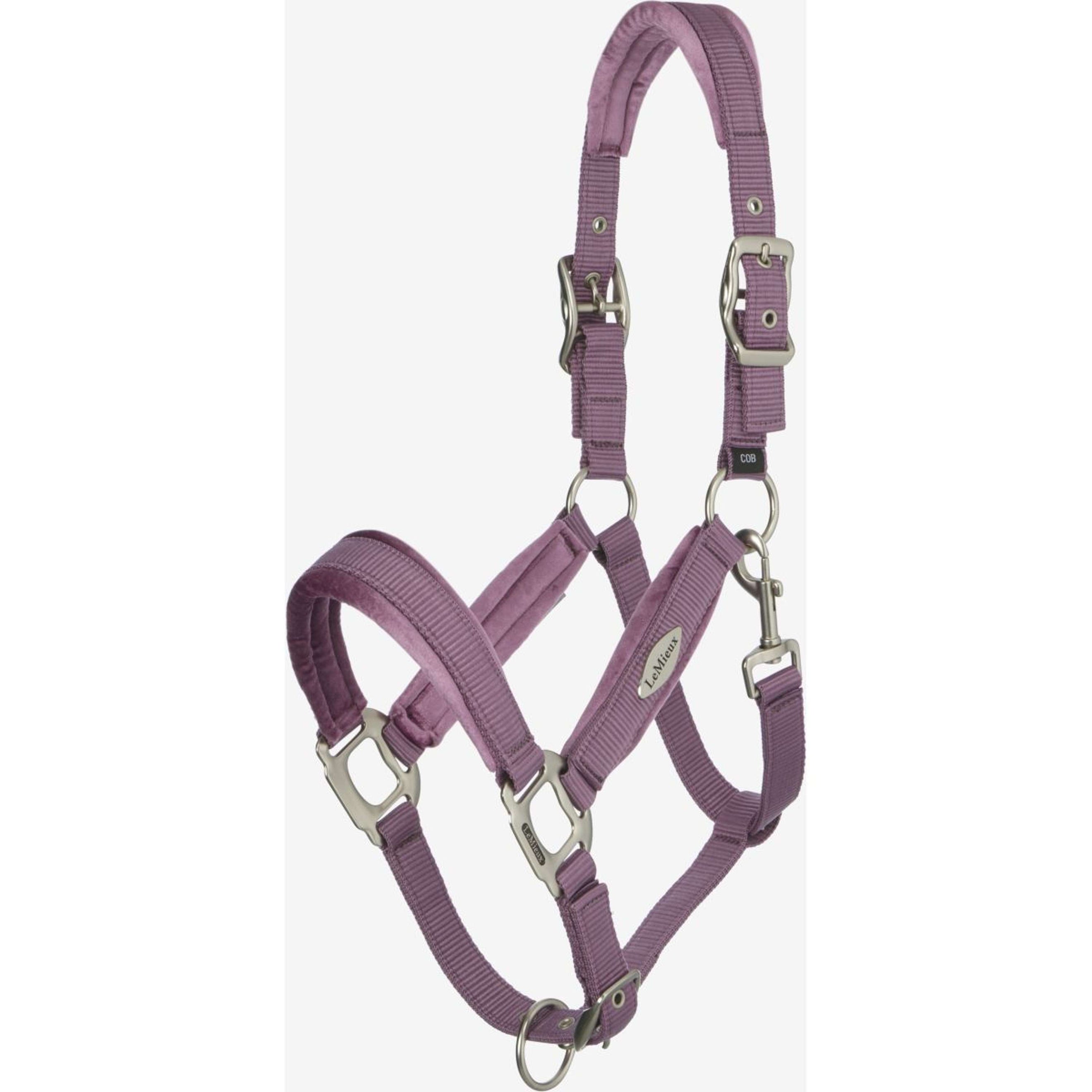 LeMieux Halfter Versailles Mallow LeMieux Halfter Versailles Mallow