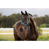 LeMieux Halfter Versailles Jungle