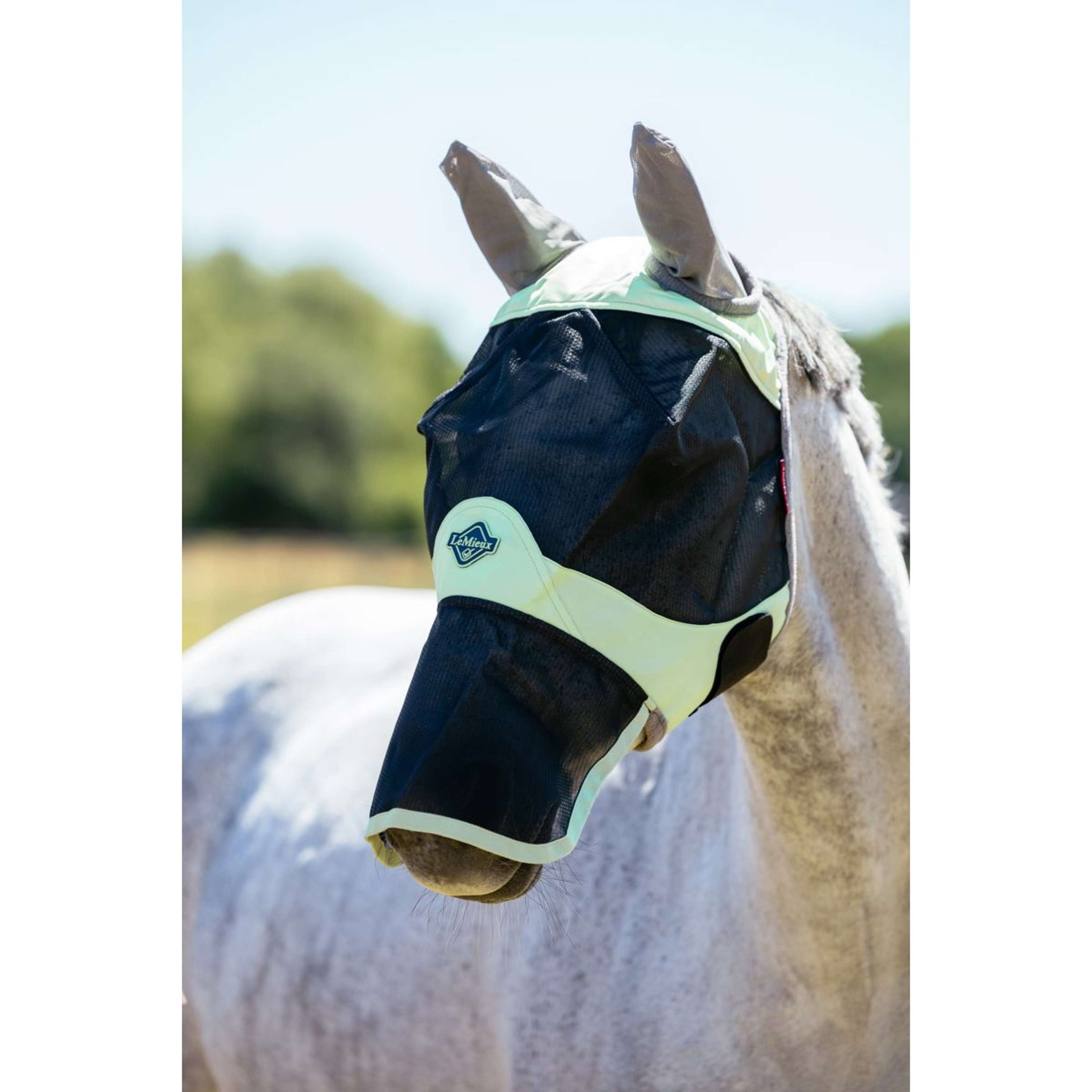 LeMieux Fliegenmaske Visor-Tek Mit Nüsternschutz Macaron LeMieux Fliegenmaske Visor-Tek Mit Nüsternschutz Macaron