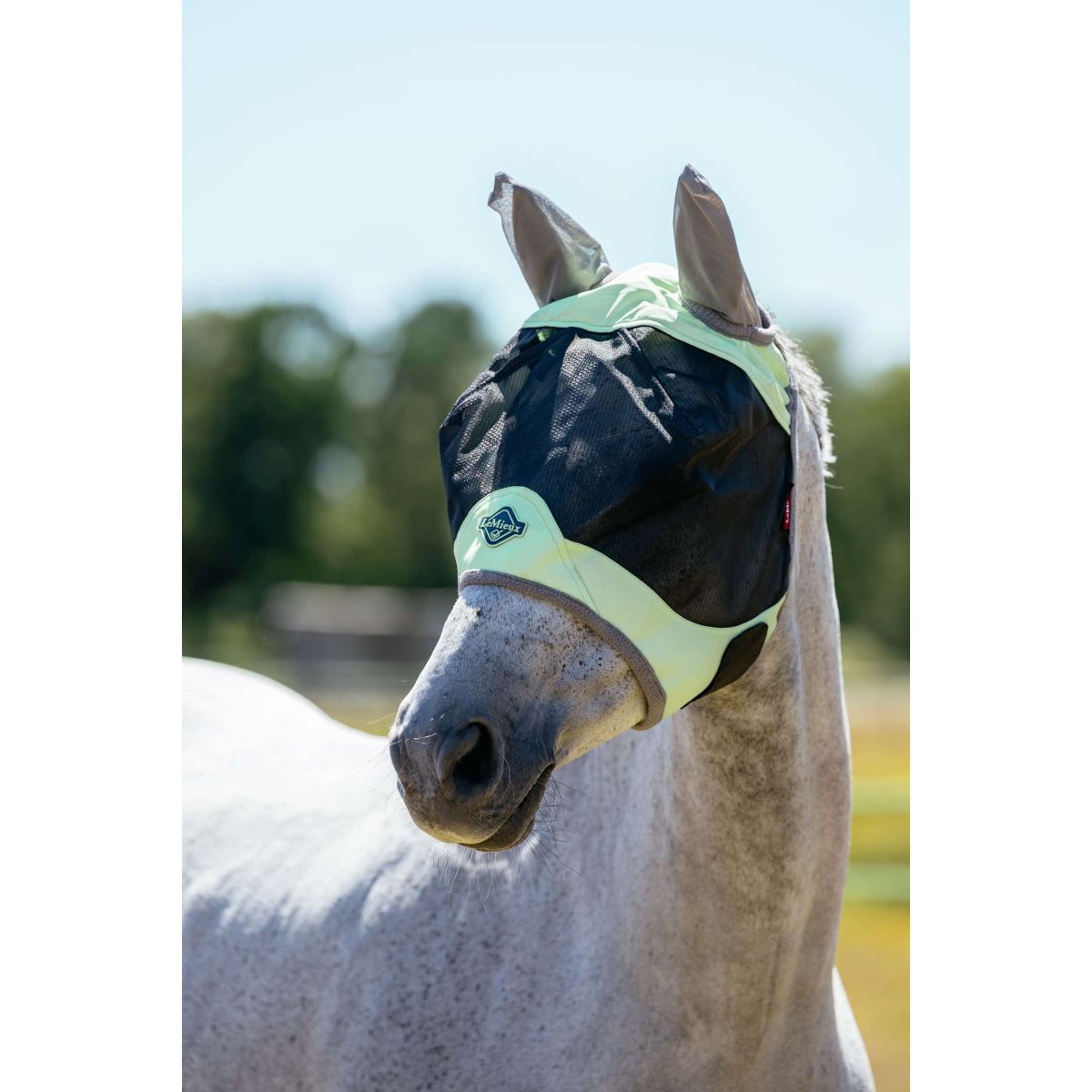 LeMieux Fliegenmaske Visor-Tek Macaron