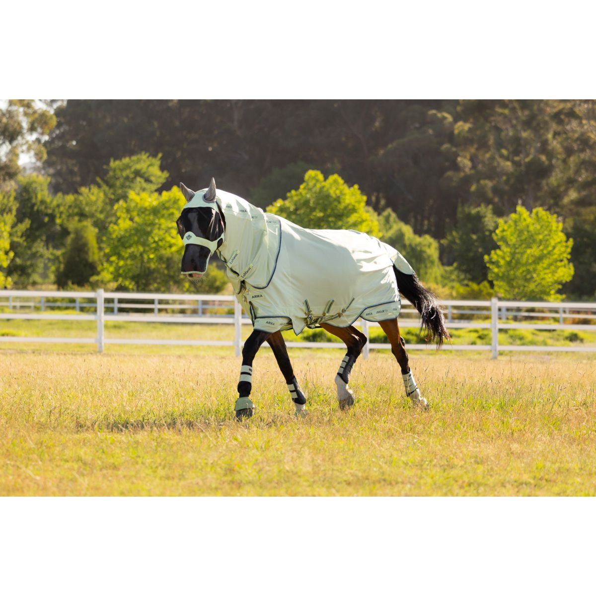 LeMieux Fliegendecke Arika Armour-Tek Abnehmbarer Hals Macaron